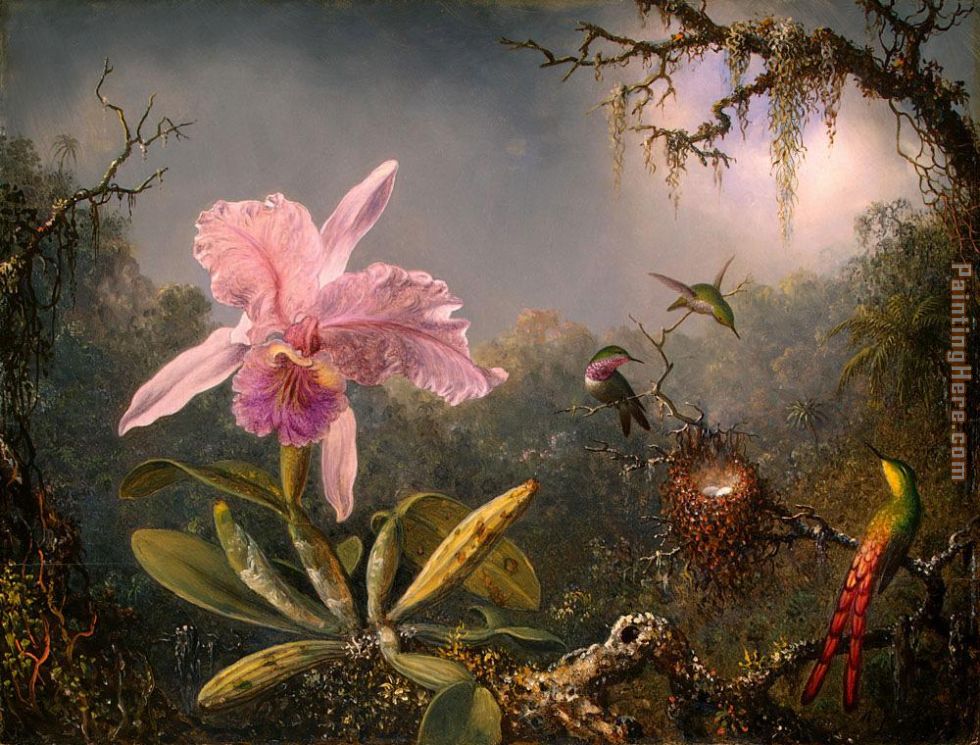 Martin Johnson Heade Cattleya Orchid and Three Brazilian Hummingbirds